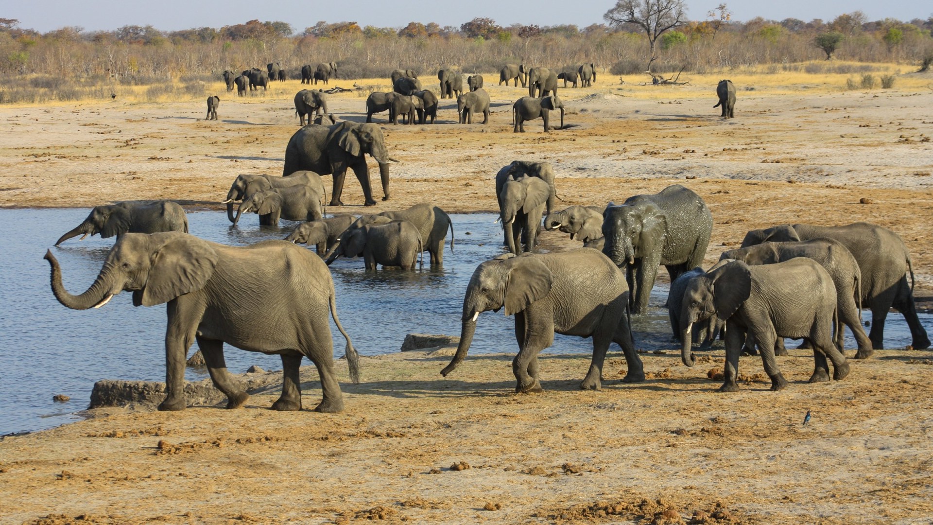 Campingerlebnis Botswana